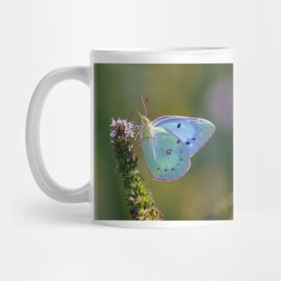 blue butterfly Mug